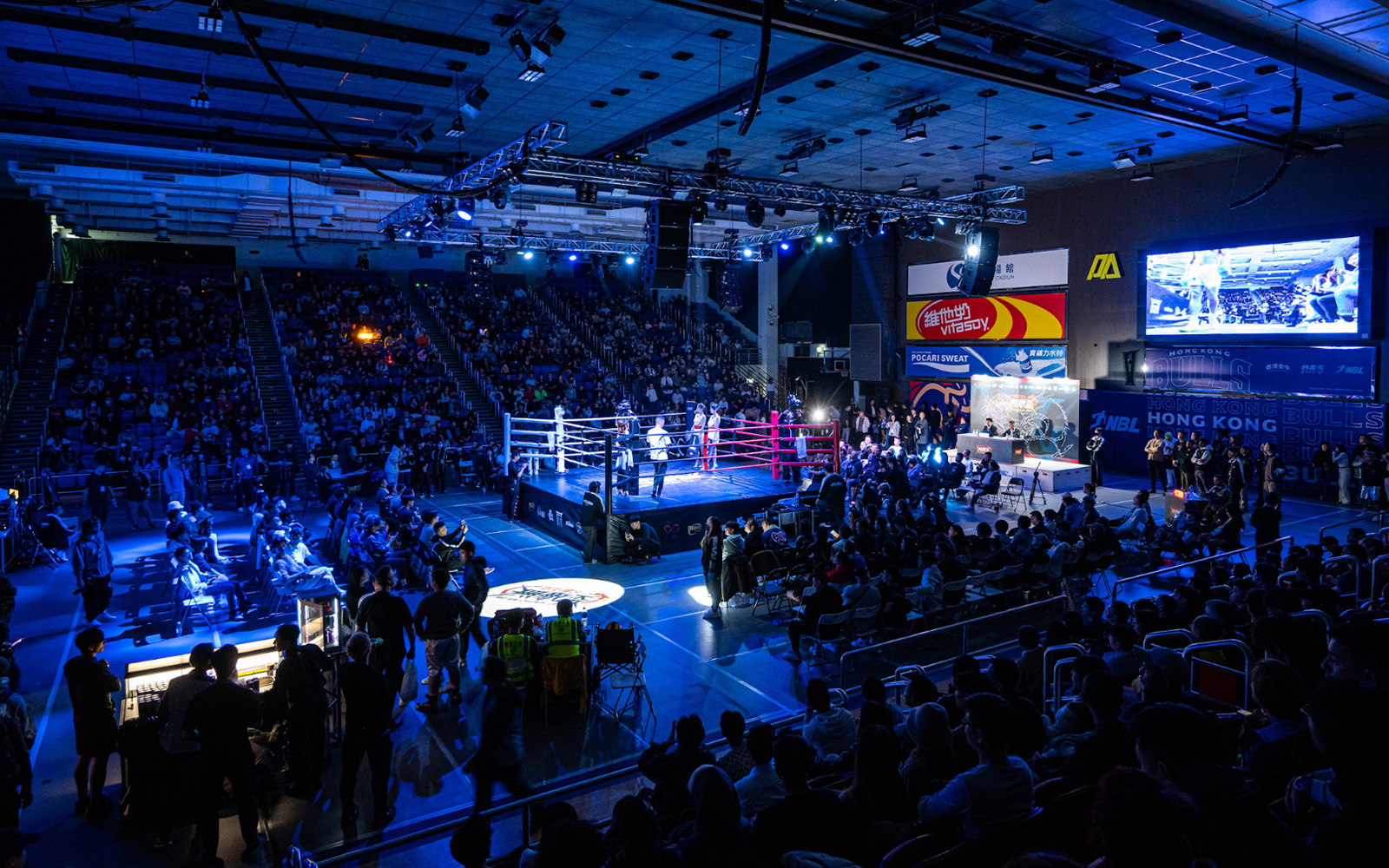 We Are Champs (2023 & 2024)